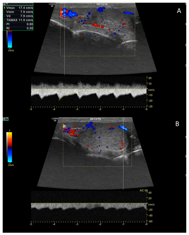 Figure 6