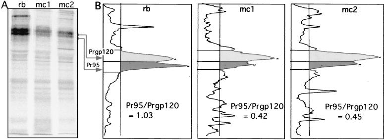 FIG. 7.