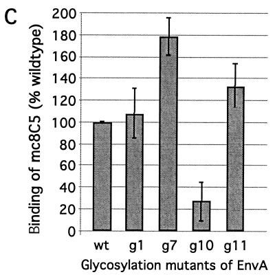 FIG. 7.