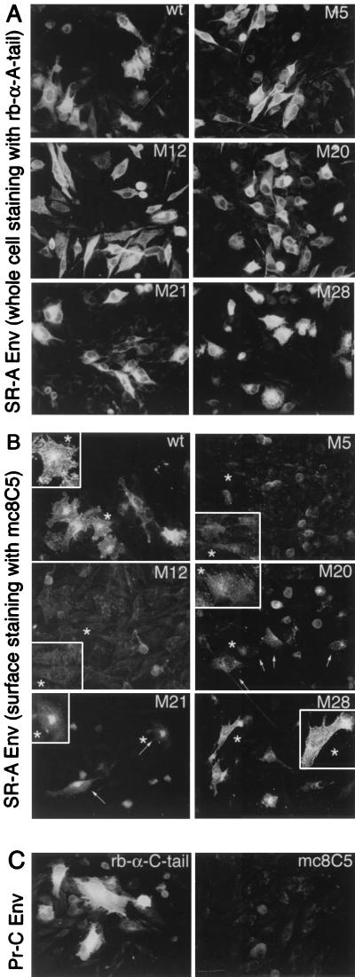 FIG. 6.