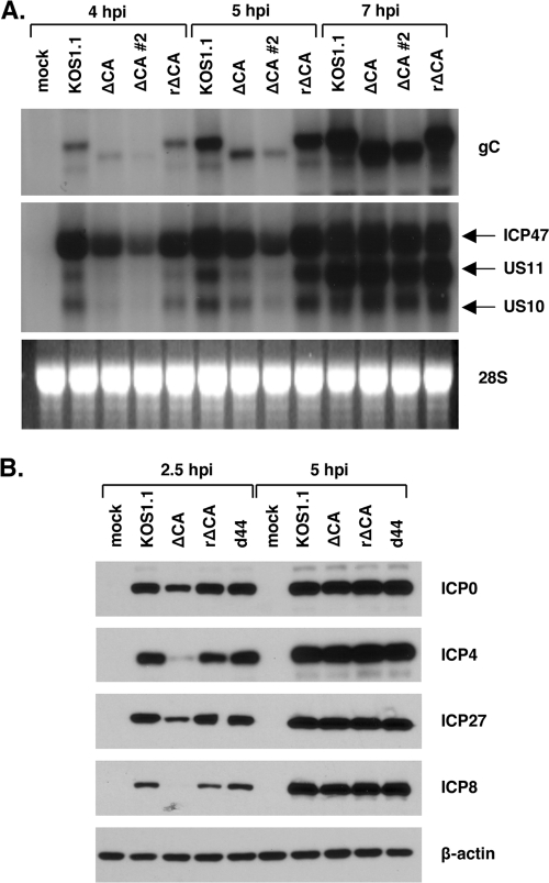 FIG. 6.