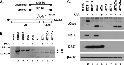 FIG. 7.