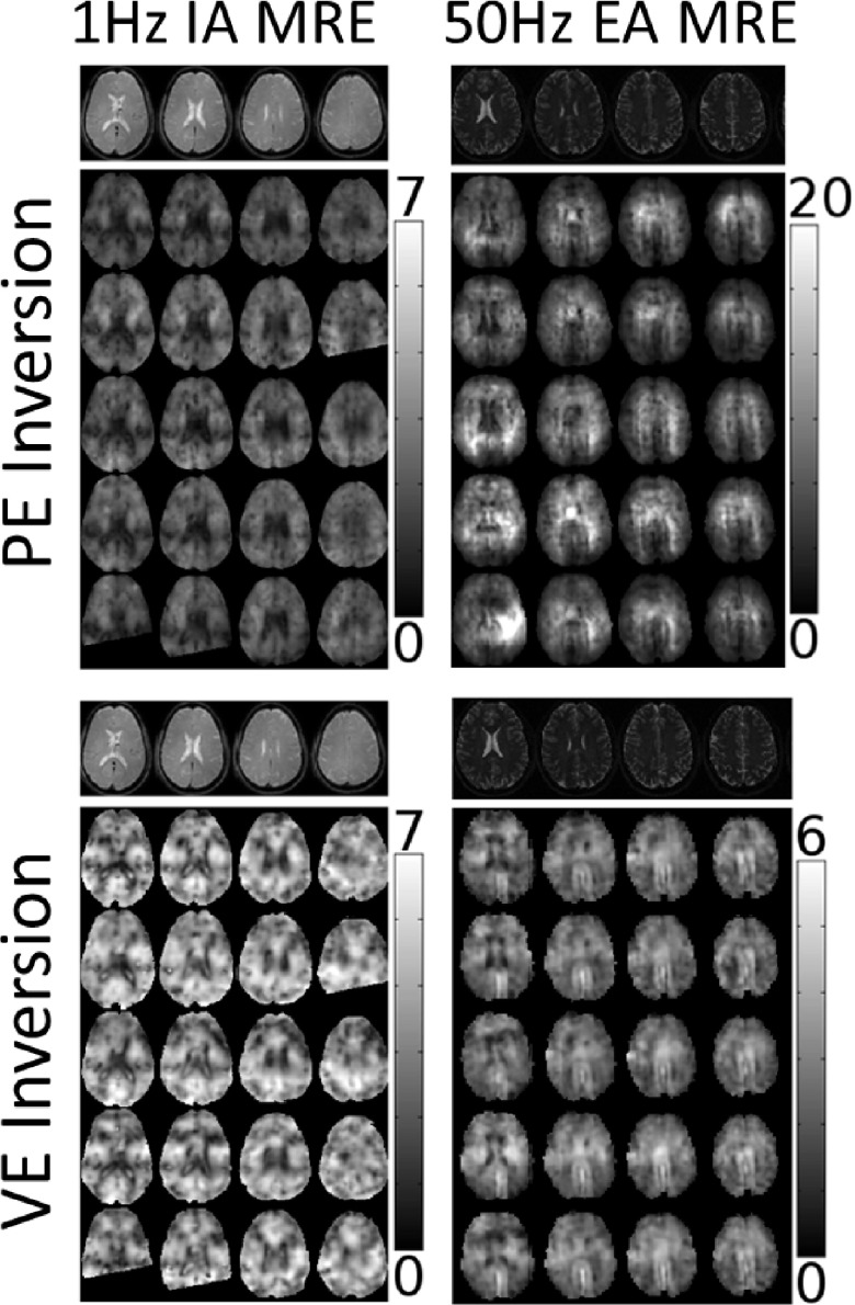 FIG. 2.