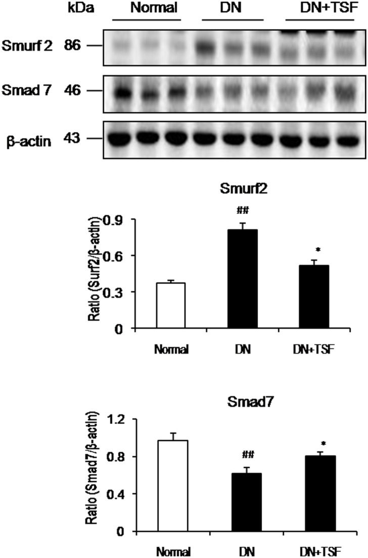 Fig 7