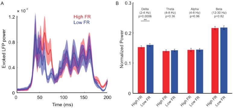 Figure 3—figure supplement 6.