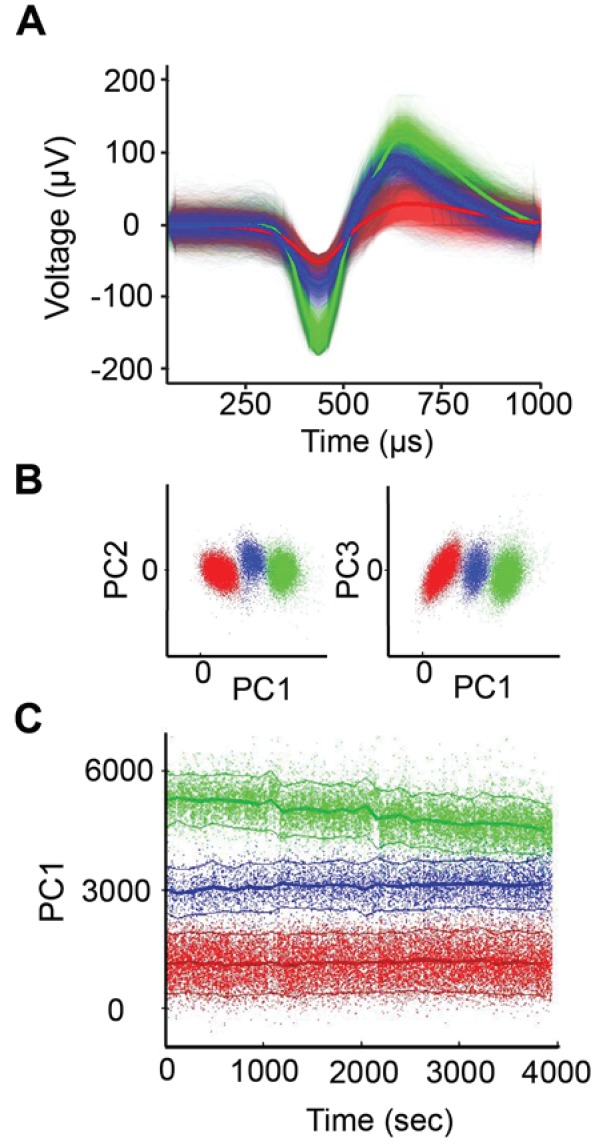 Figure 1—figure supplement 1.