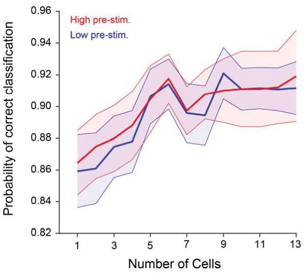 Figure 5—figure supplement 1.