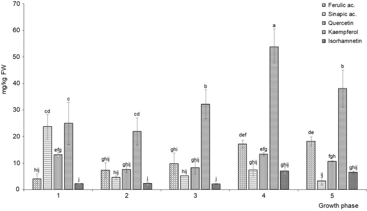 Fig. 3