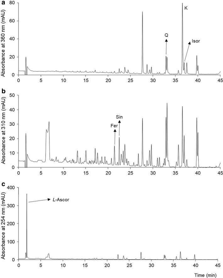 Fig. 2