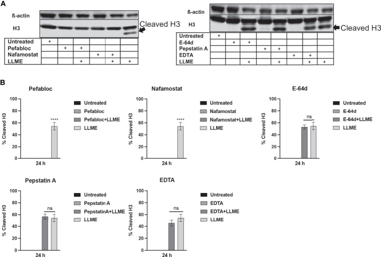 Figure 4