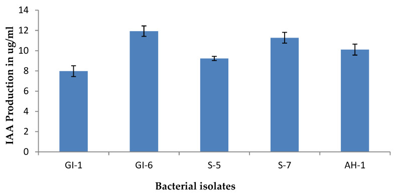 Figure 5