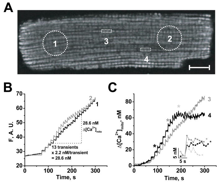 FIGURE 6