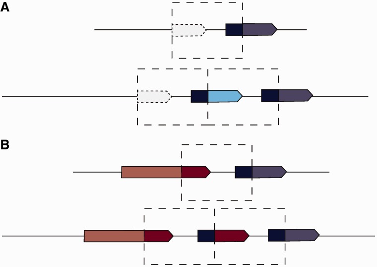 Fig. 8.