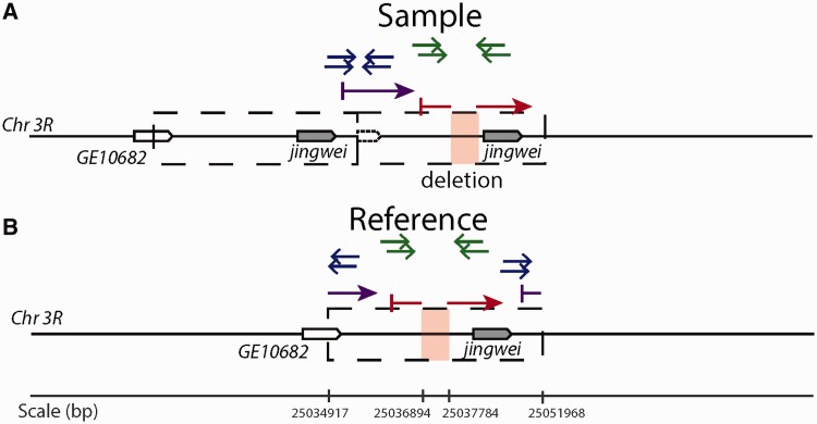 Fig. 6.