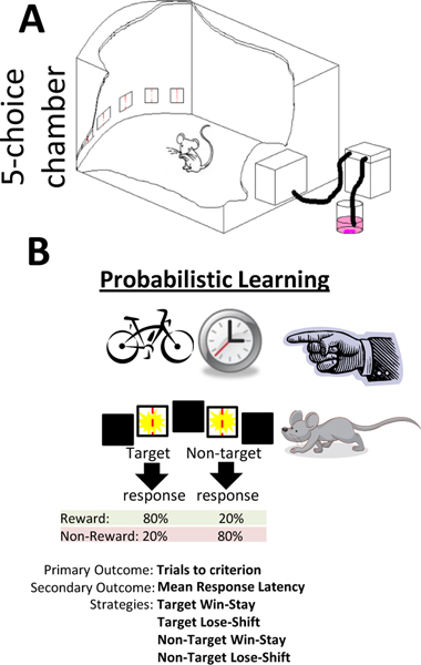 Figure 6: