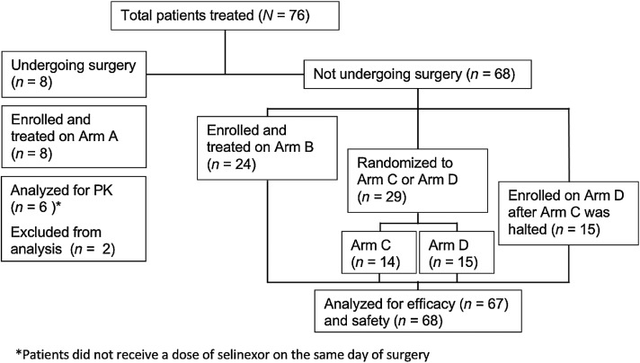 Figure 1. CONSORT diagram. PK, pharmacokinetics. One patient from Arm C did not undergo efficacy evaluation.