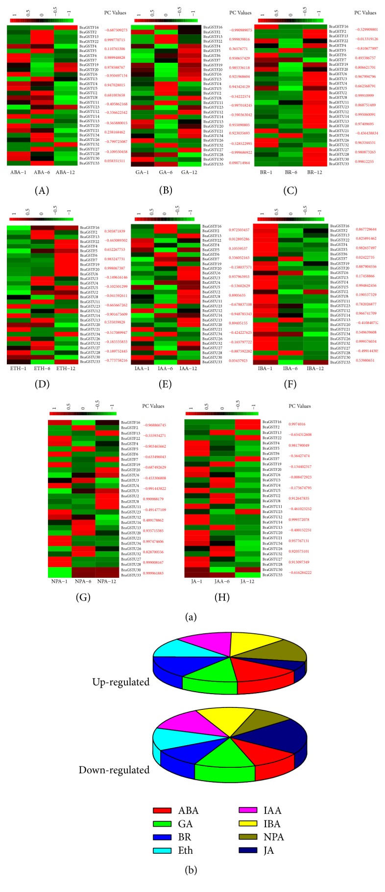 Figure 9