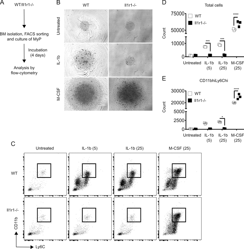 Figure 4: