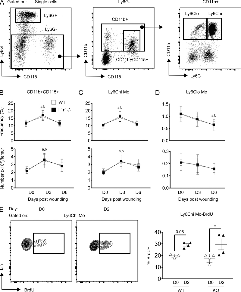 Figure 3: