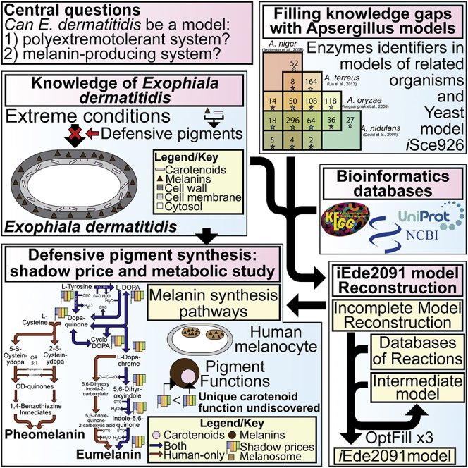 graphic file with name fx1.jpg