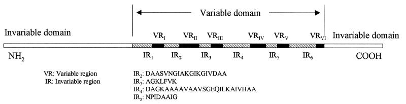 FIG. 1