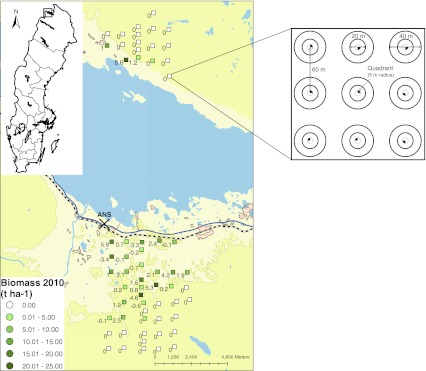 Fig. 1