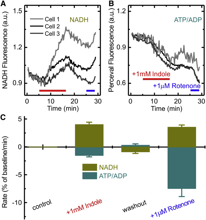 Figure 3