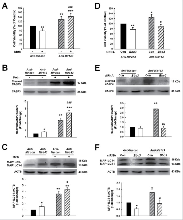 Figure 11.