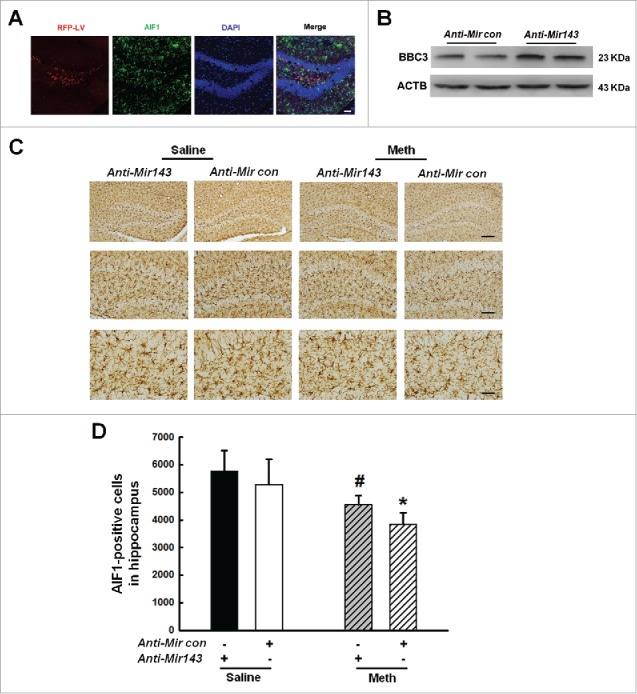 Figure 12.