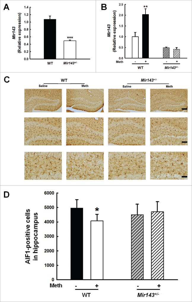 Figure 13.