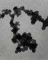 TEM image of ultrafine particulate matter.