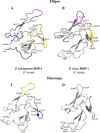 FIG 6