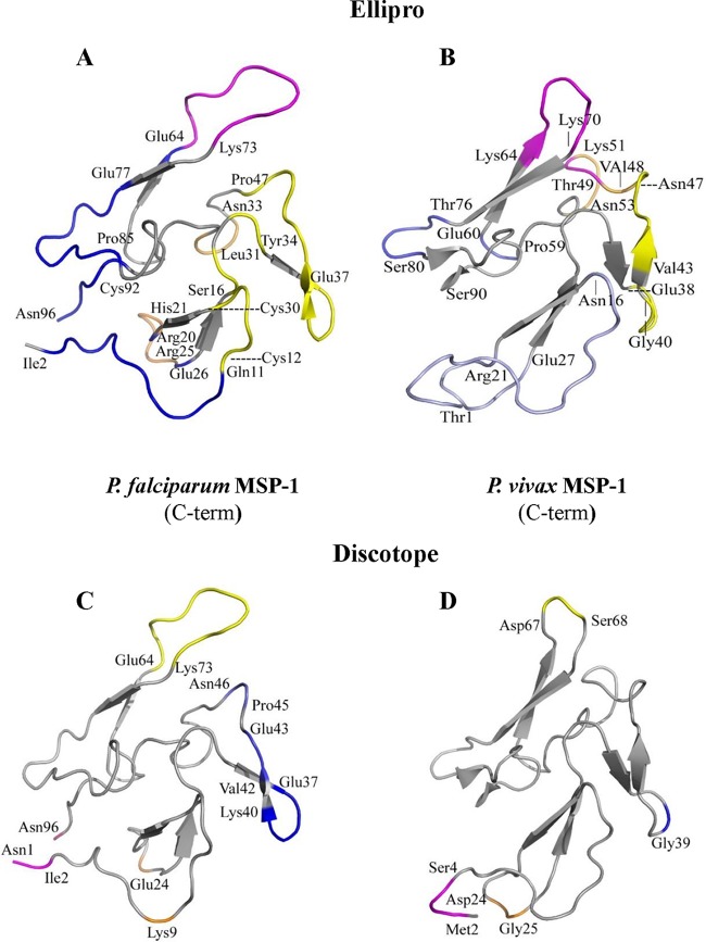 FIG 6