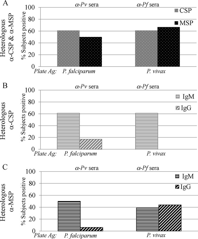 FIG 2