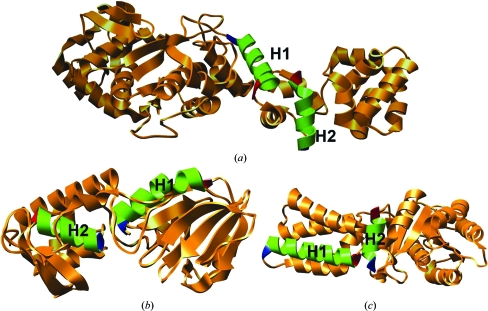 Figure 1