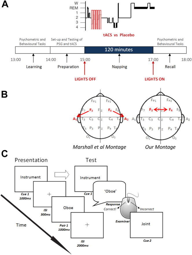 Figure 1