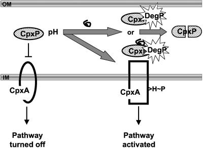 FIG. 6.