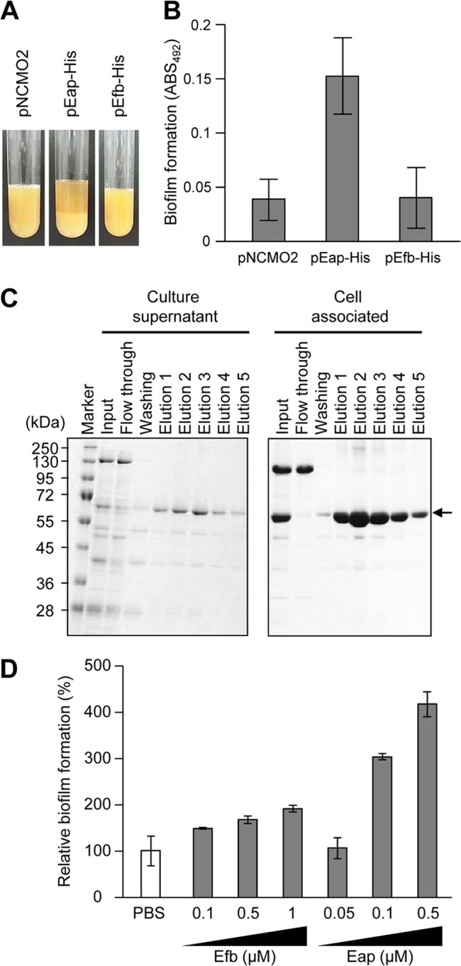 Fig 5