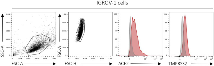 Extended data Figure 1.