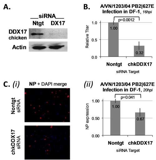 FIG 6 