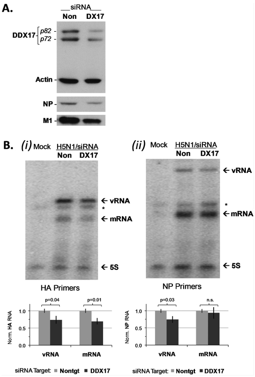 FIG 5 