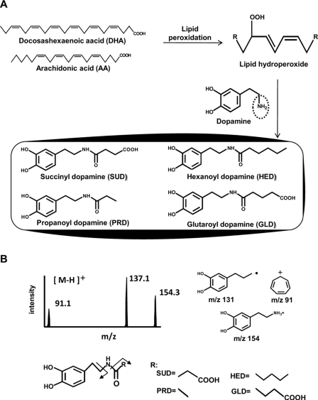 FIGURE 1.