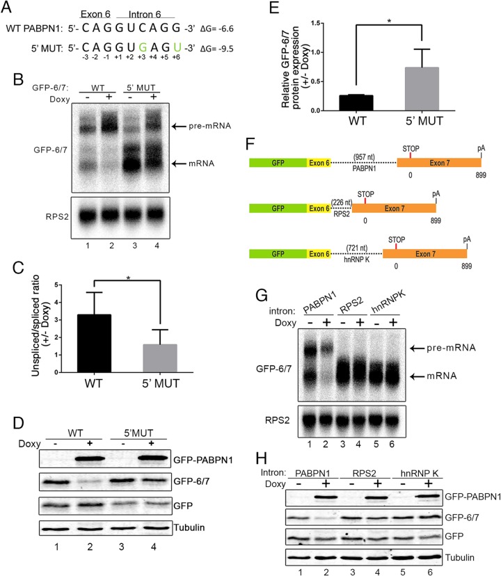 FIG 3