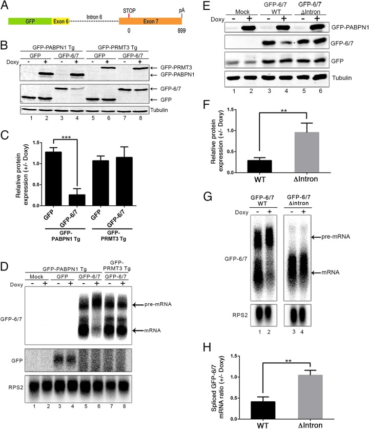 FIG 2