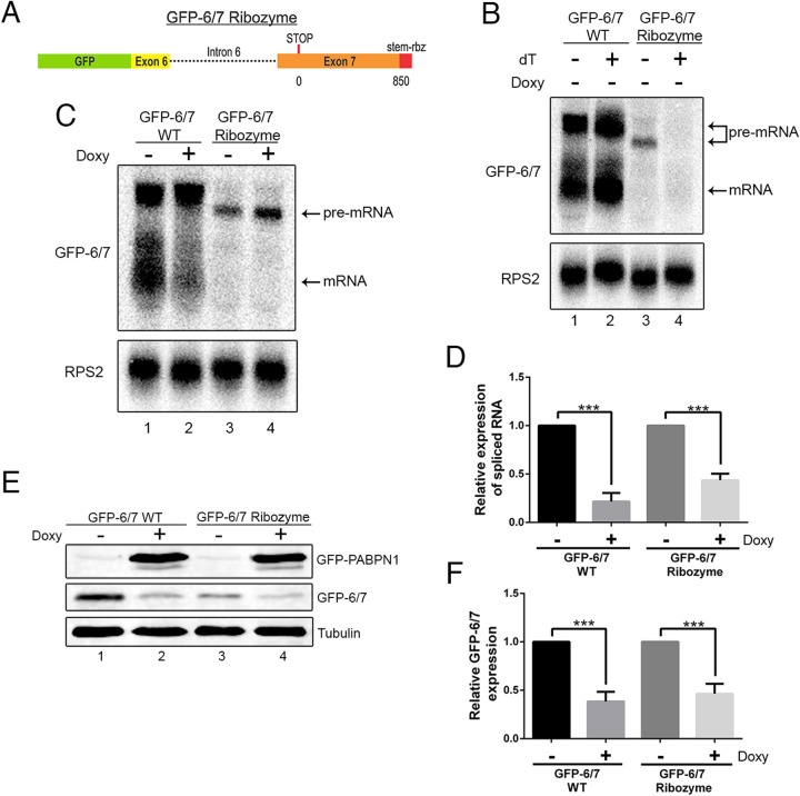 FIG 4