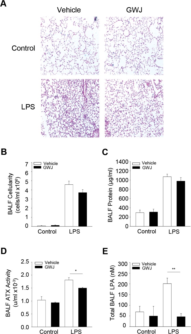 Fig 7