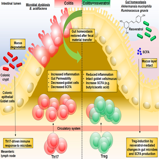 graphic file with name nihms-1018158-f0007.jpg