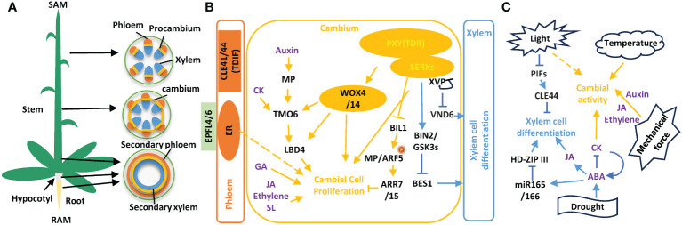 Figure 1