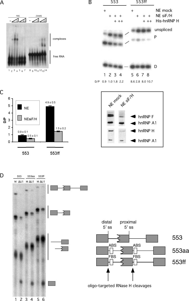 Figure 6