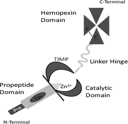 FIG. 11.